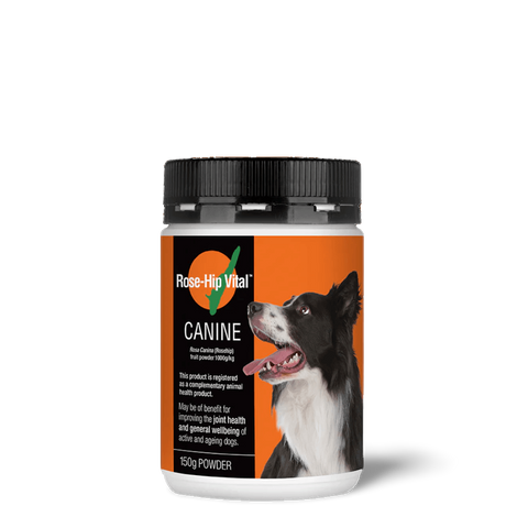 Canine Joint Supplement For Dogs