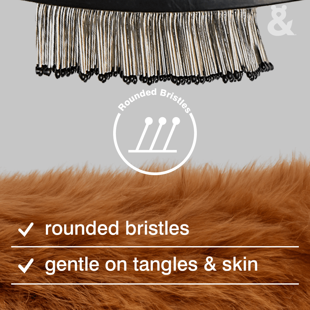 Self Cleaning Slicker Brush