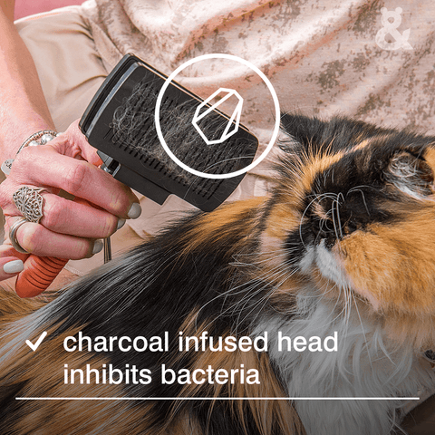 Self Cleaning Slicker Brush