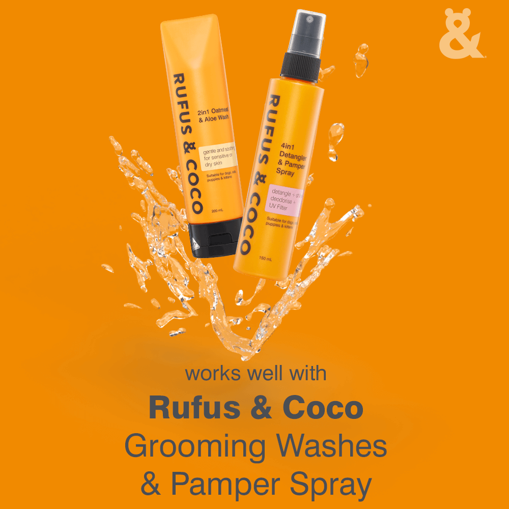 Self Cleaning Slicker Brush