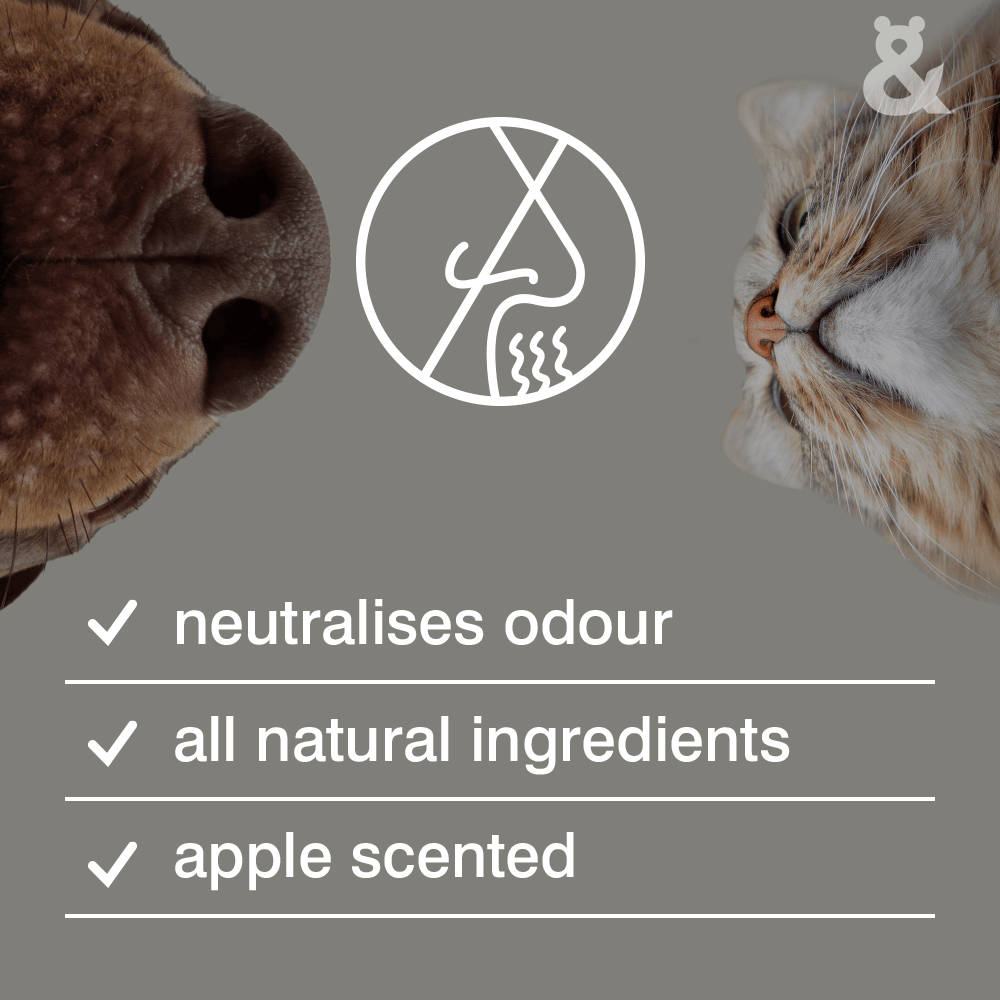 Wee Away Stain & Odour Remover