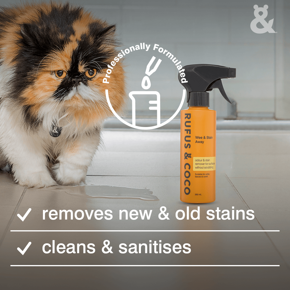 Wee Away Stain & Odour Remover