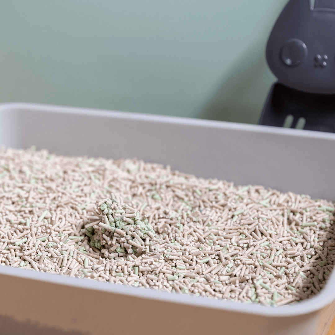 Wee Kitty Eco Plant Clumping Litter
