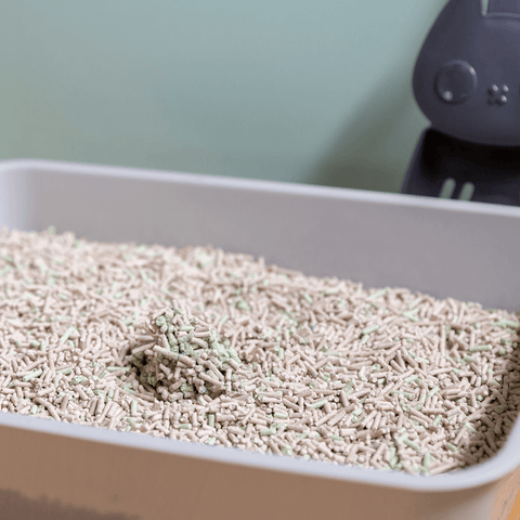 Wee Kitty Eco Plant Clumping Litter
