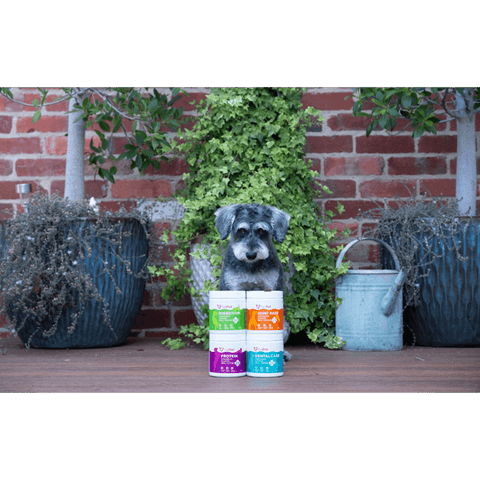 Digestion Tasmanian Salmon Meal Topper For Dogs And Cats
