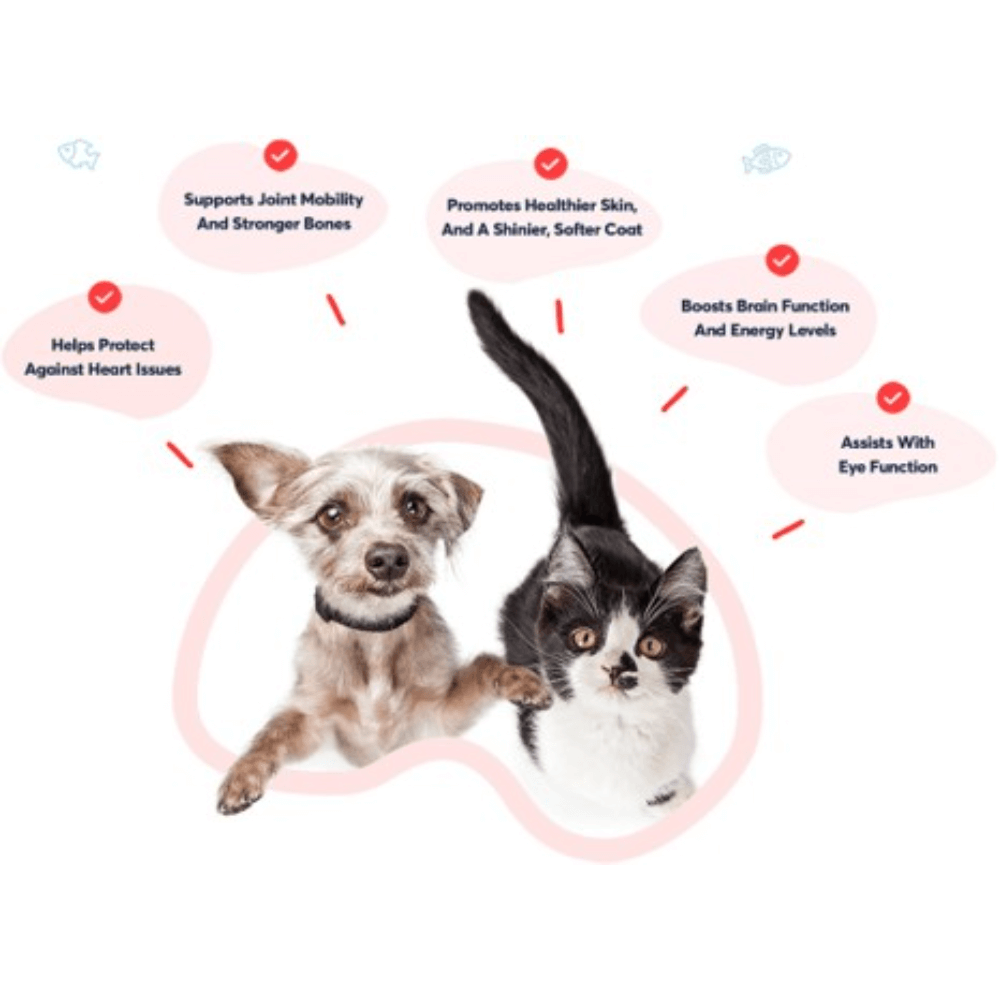 Pure Tasmanian Salmon Oil Skin Coat And Heart Support For Pets