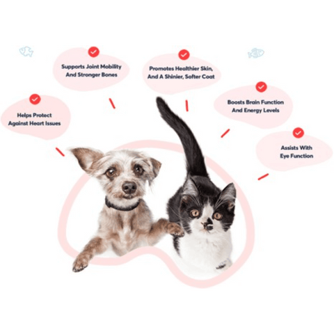 Pure Tasmanian Salmon Oil Skin Coat And Heart Support For Pets