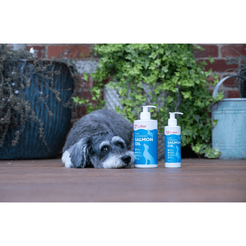 Pure Tasmanian Salmon Oil Skin Coat And Heart Support For Pets