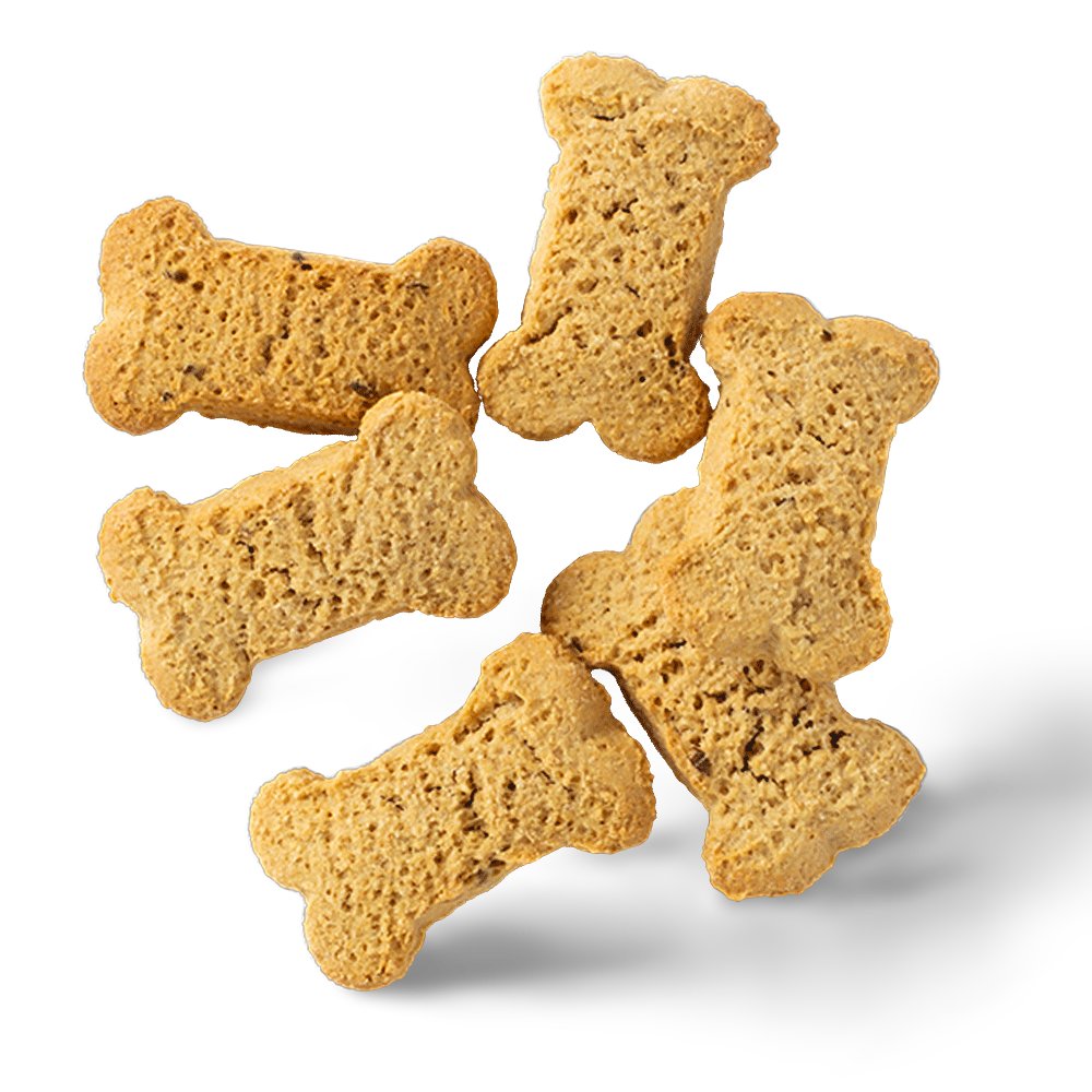 Australian Cheese Flavour Flavoured Biscuits