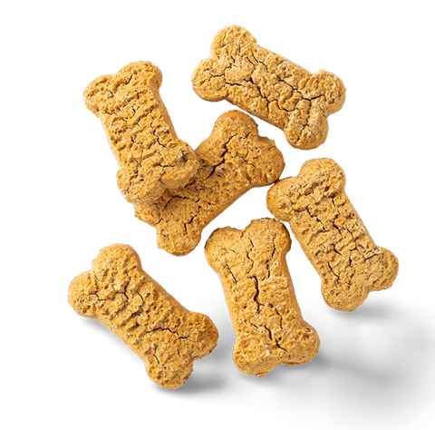 Australian Salmon Flavour Grain Free Biscuit Dog Treats