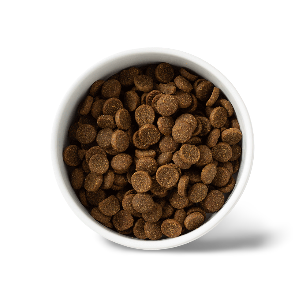 Essentials Beef Adult Dry Dog Food