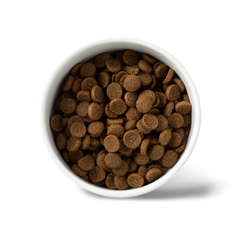 Essentials Beef Adult Dry Dog Food