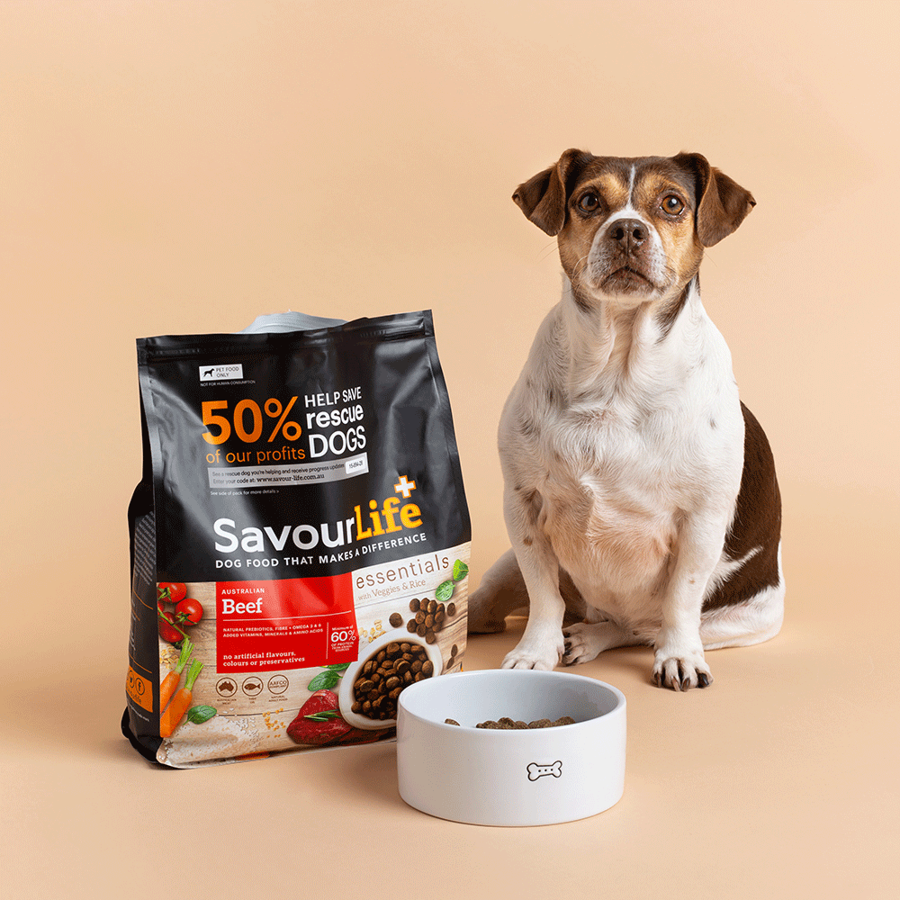 Essentials Beef Adult Dry Dog Food