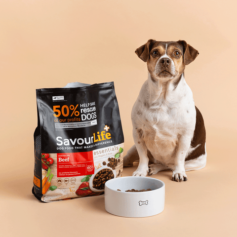 Essentials Beef Adult Dry Dog Food