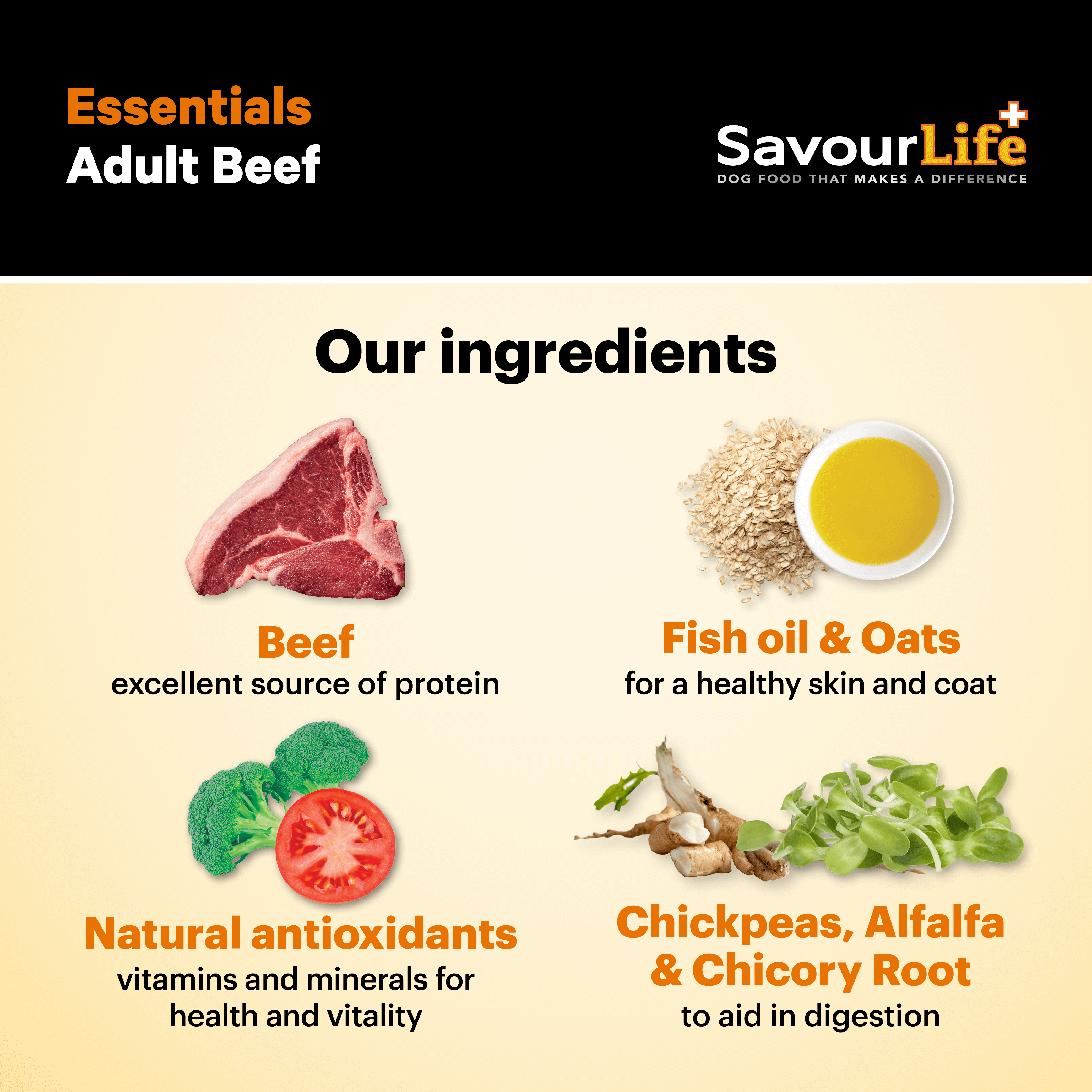Essentials Beef Adult Dry Dog Food