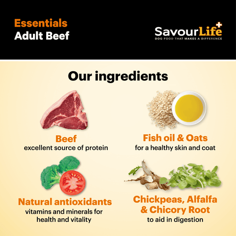 Essentials Beef Adult Dry Dog Food