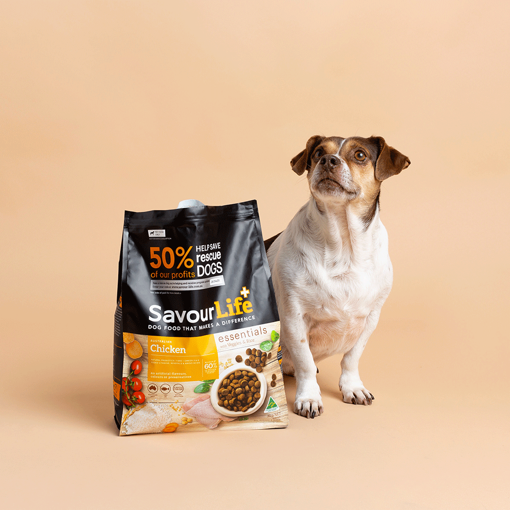 Essentials Chicken Adult Dry Dog Food