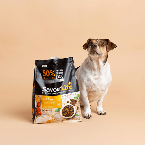 Essentials Chicken Adult Dry Dog Food