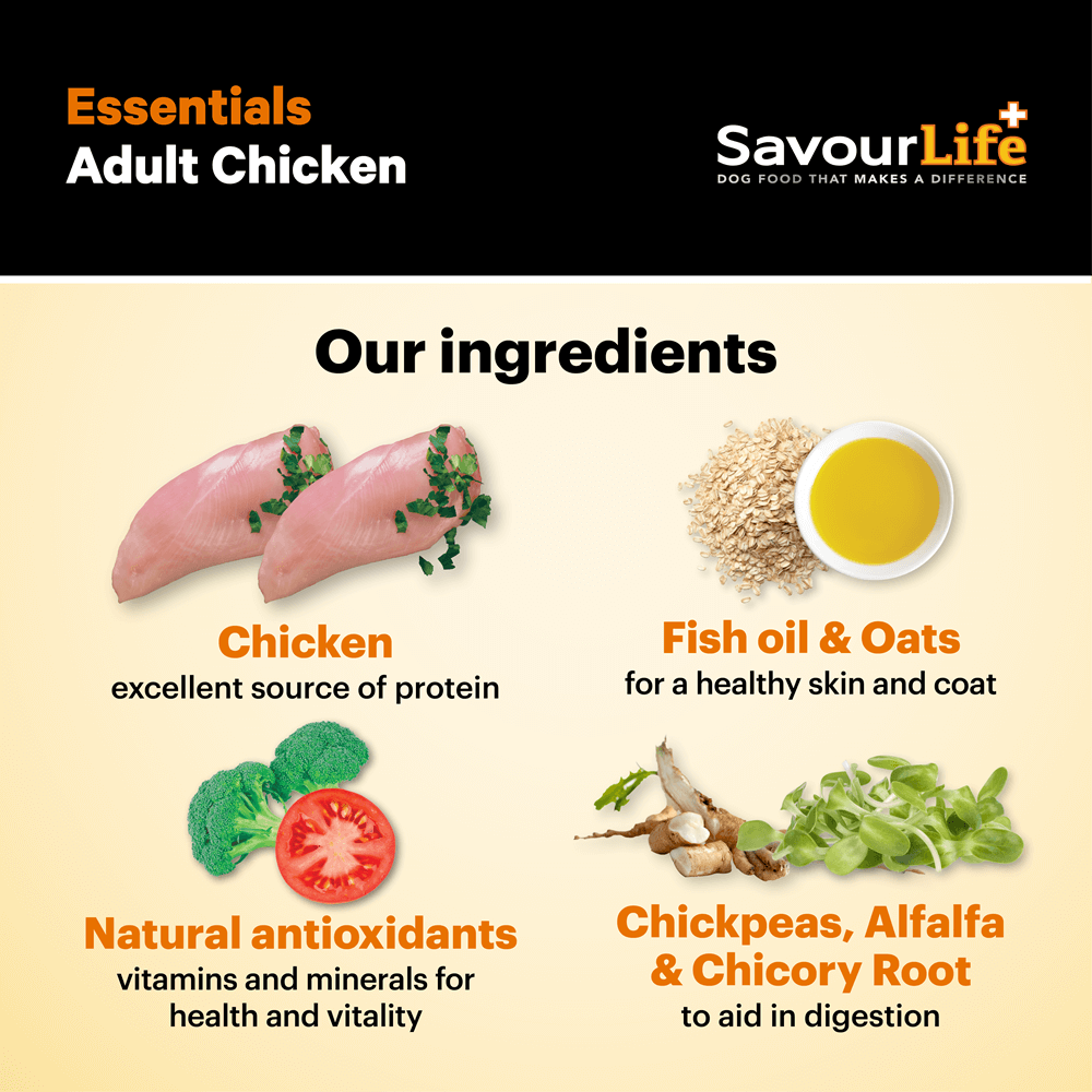 Essentials Chicken Adult Dry Dog Food