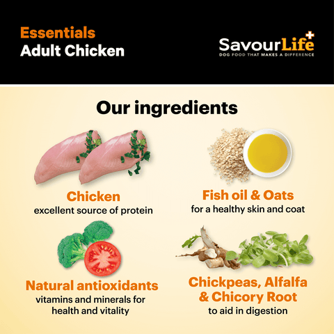 Essentials Chicken Adult Dry Dog Food