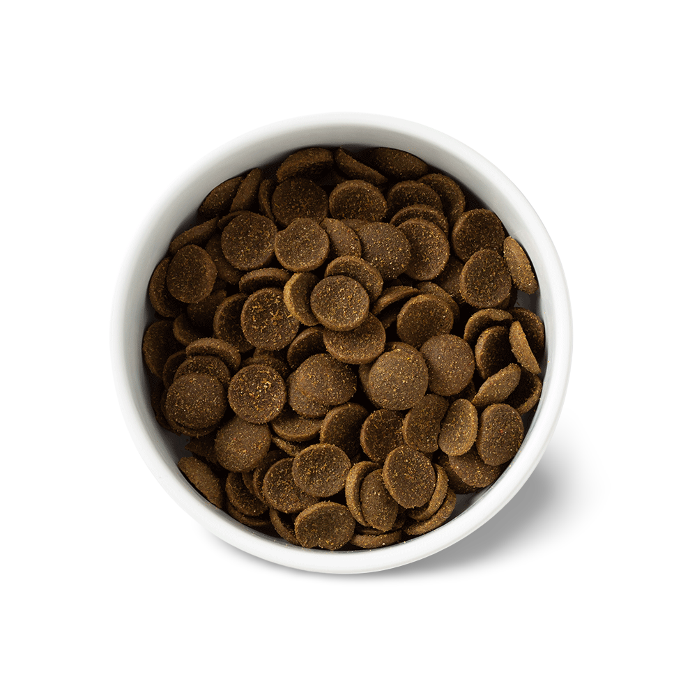 Essentials Chicken Large Breed Adult Dry Dog Food