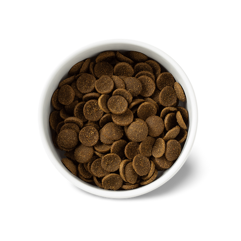 Essentials Chicken Large Breed Adult Dry Dog Food