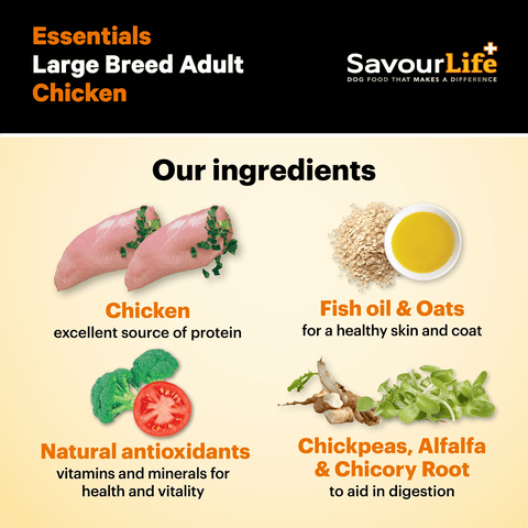 Essentials Chicken Large Breed Adult Dry Dog Food