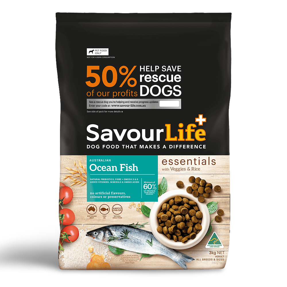 Essentials Ocean Fish Adult Dry Dog Food