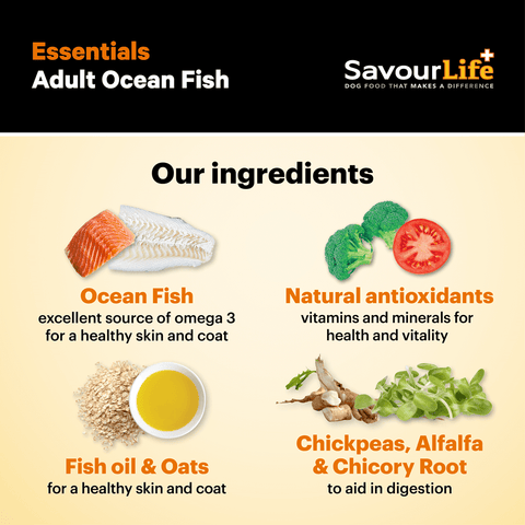 Essentials Ocean Fish Adult Dry Dog Food