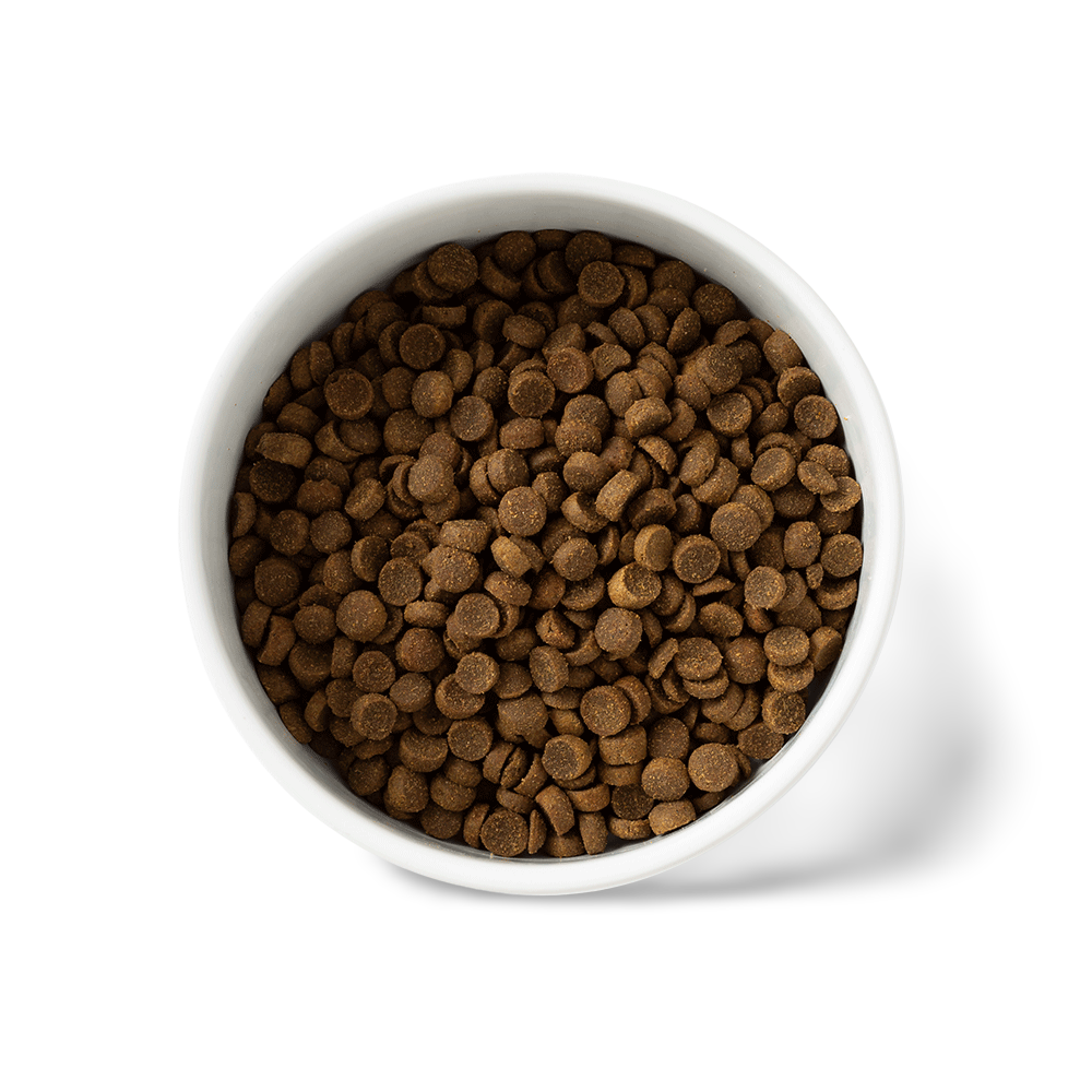 Essentials Chicken Puppy Dry Dog Food