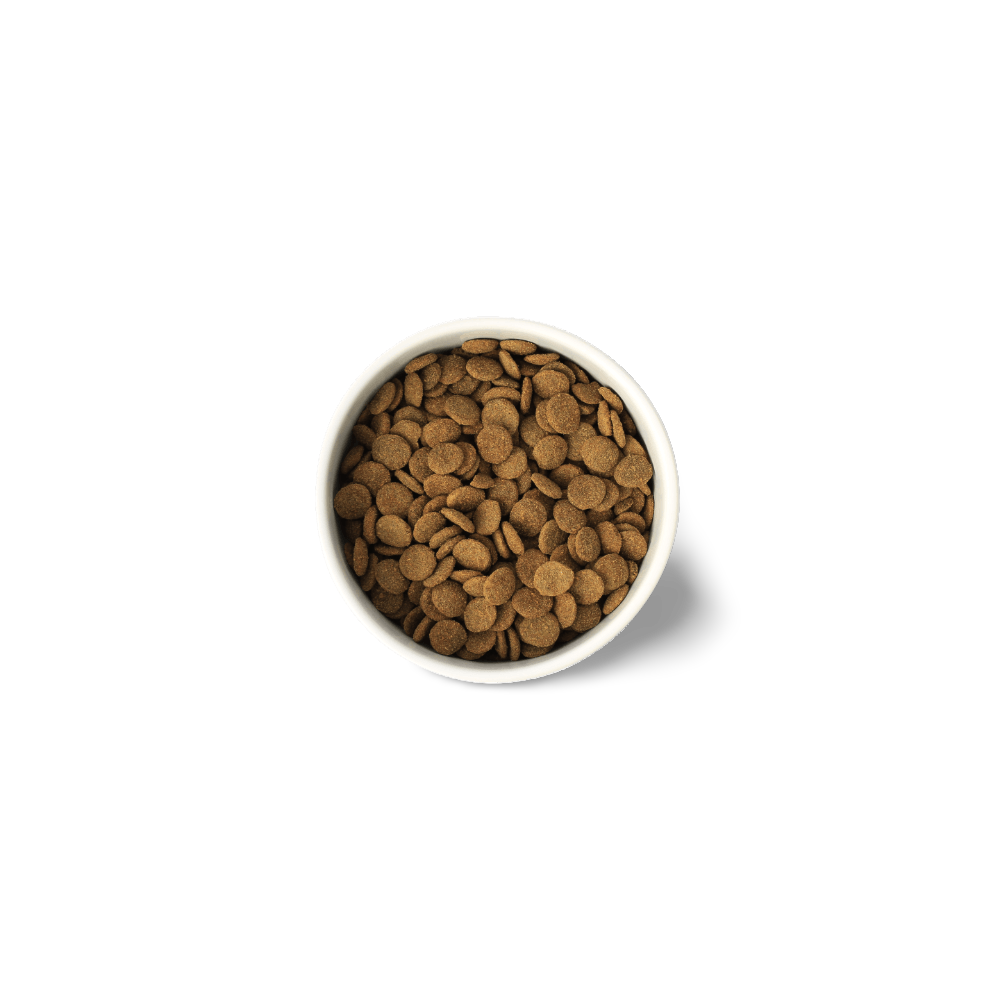 Lean Turkey Grain Free Adult Dry Dog Food