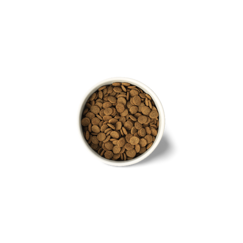 Lean Turkey Grain Free Adult Dry Dog Food