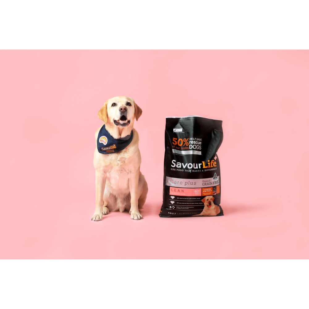 Lean Turkey Grain Free Adult Dry Dog Food
