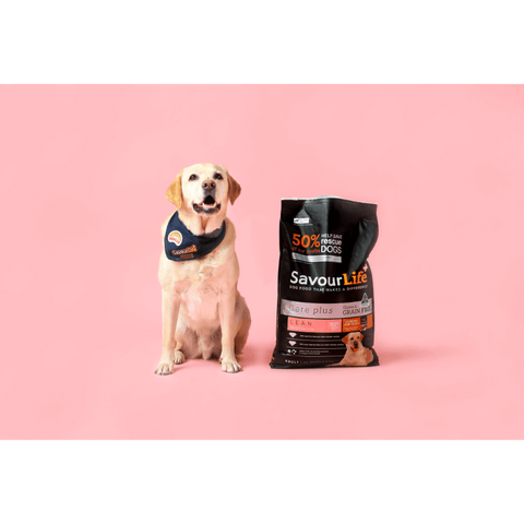 Lean Turkey Grain Free Adult Dry Dog Food