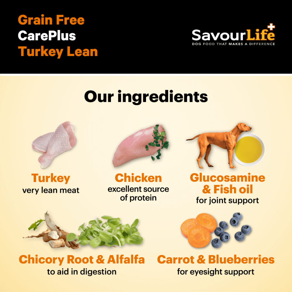 Lean Turkey Grain Free Adult Dry Dog Food