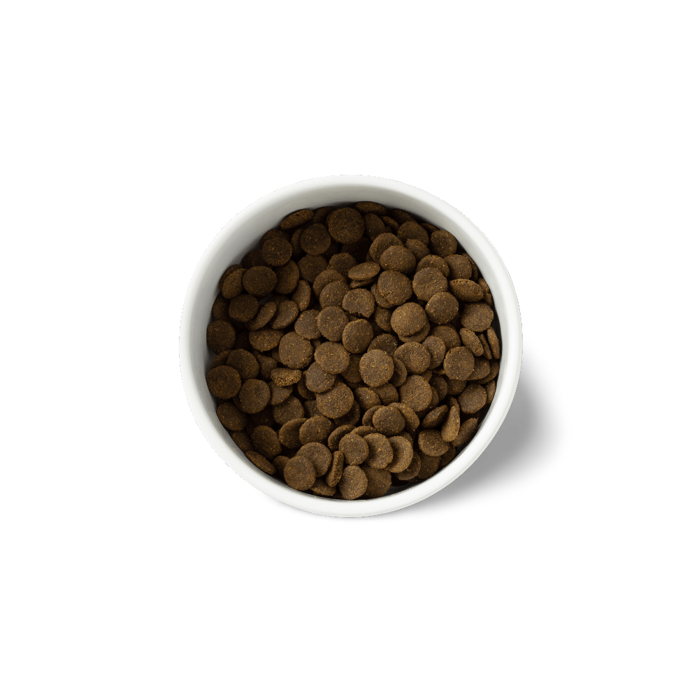 Sensitive Australian Ocean Fish Grain Free Adult Dry Dog Food