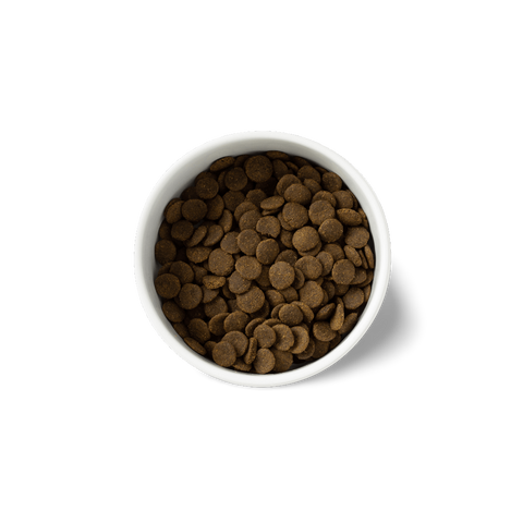 Sensitive Australian Ocean Fish Grain Free Adult Dry Dog Food