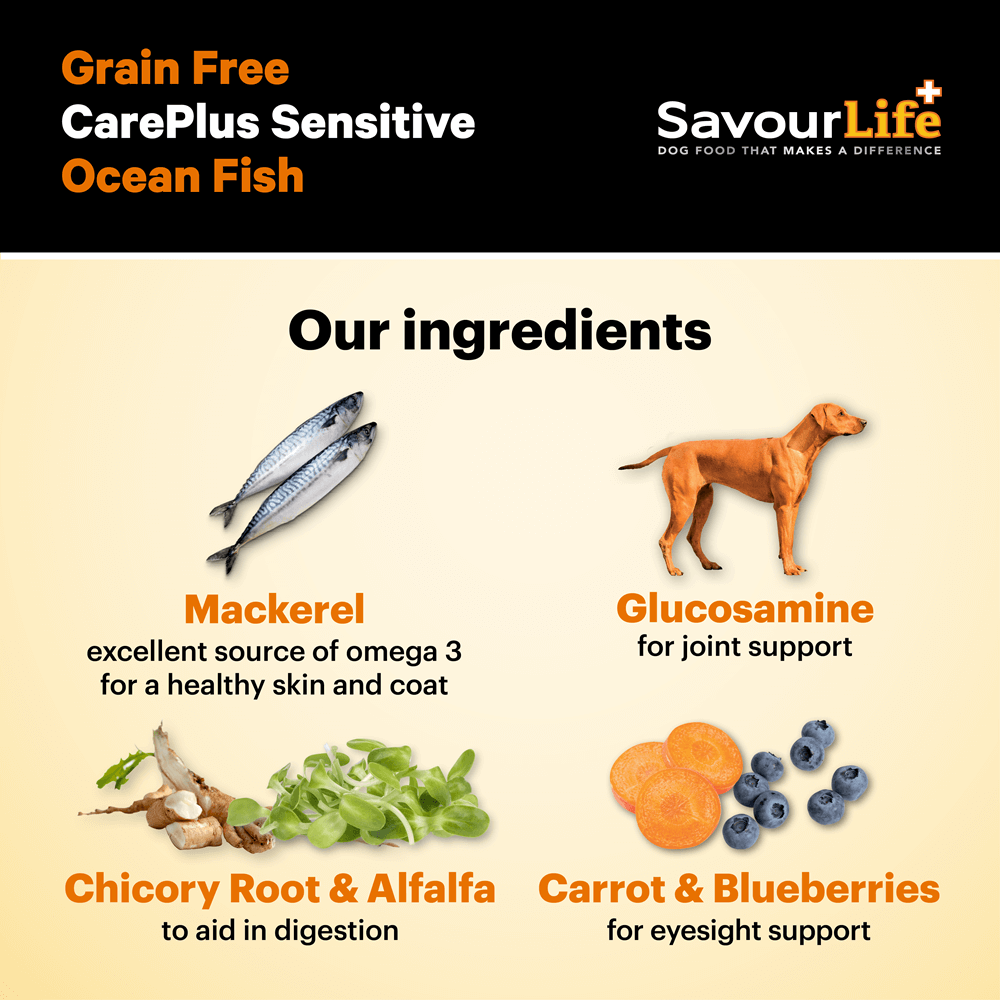 Sensitive Australian Ocean Fish Grain Free Adult Dry Dog Food