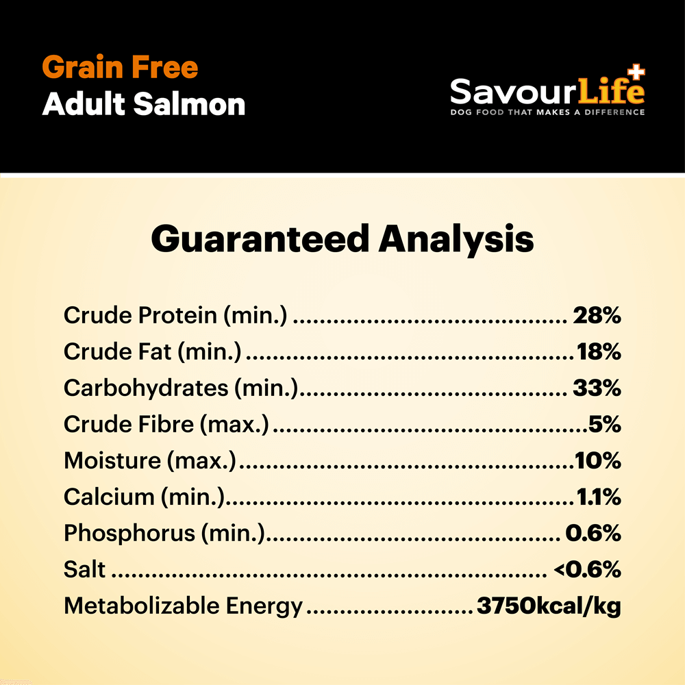 Salmon Grain Free Adult Dry Dog Food