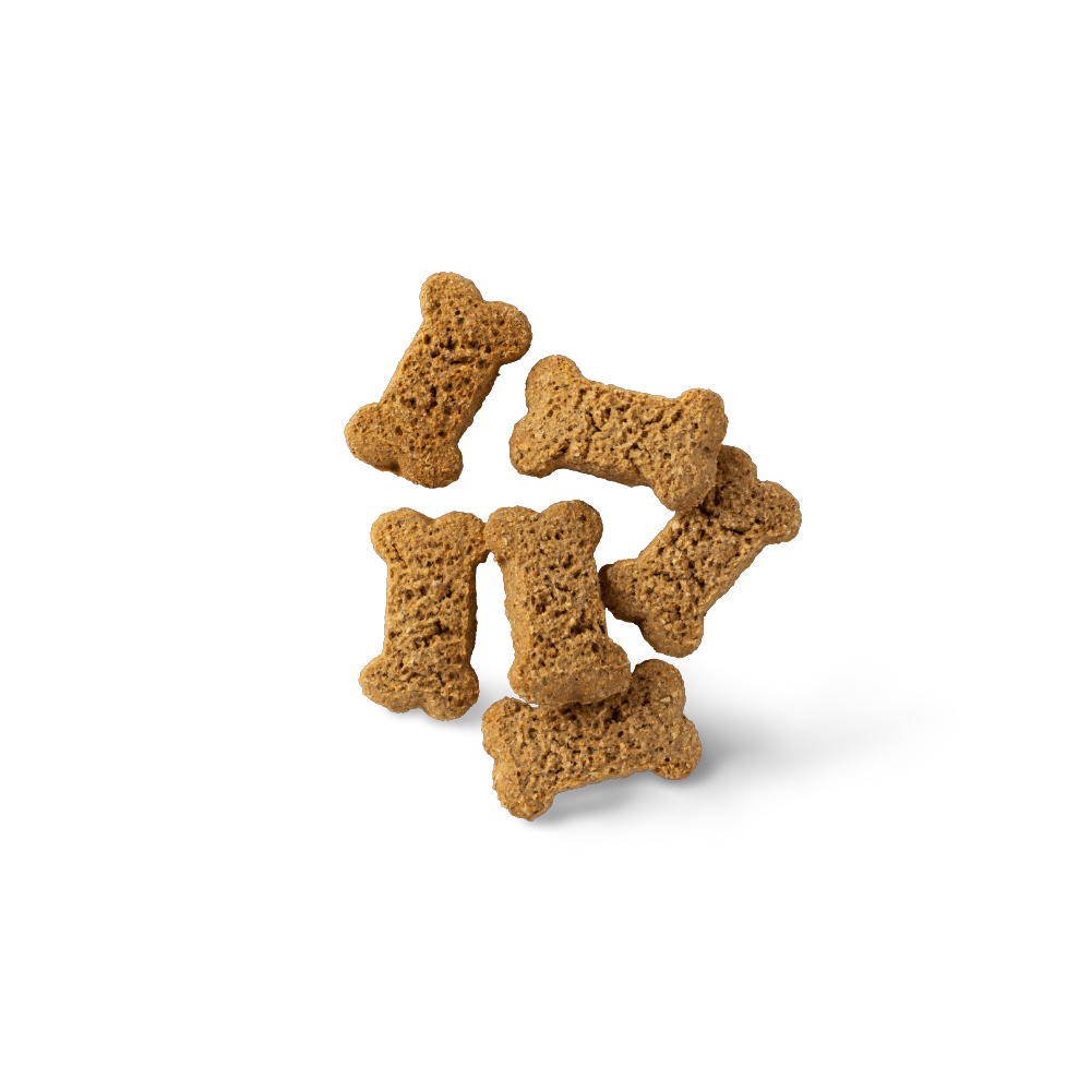 Kangaroo Flavoured Biscuit Dog Treats