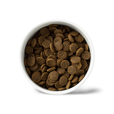 Ocean Fish Large Breed Grain Free Adult Dry Dog Food