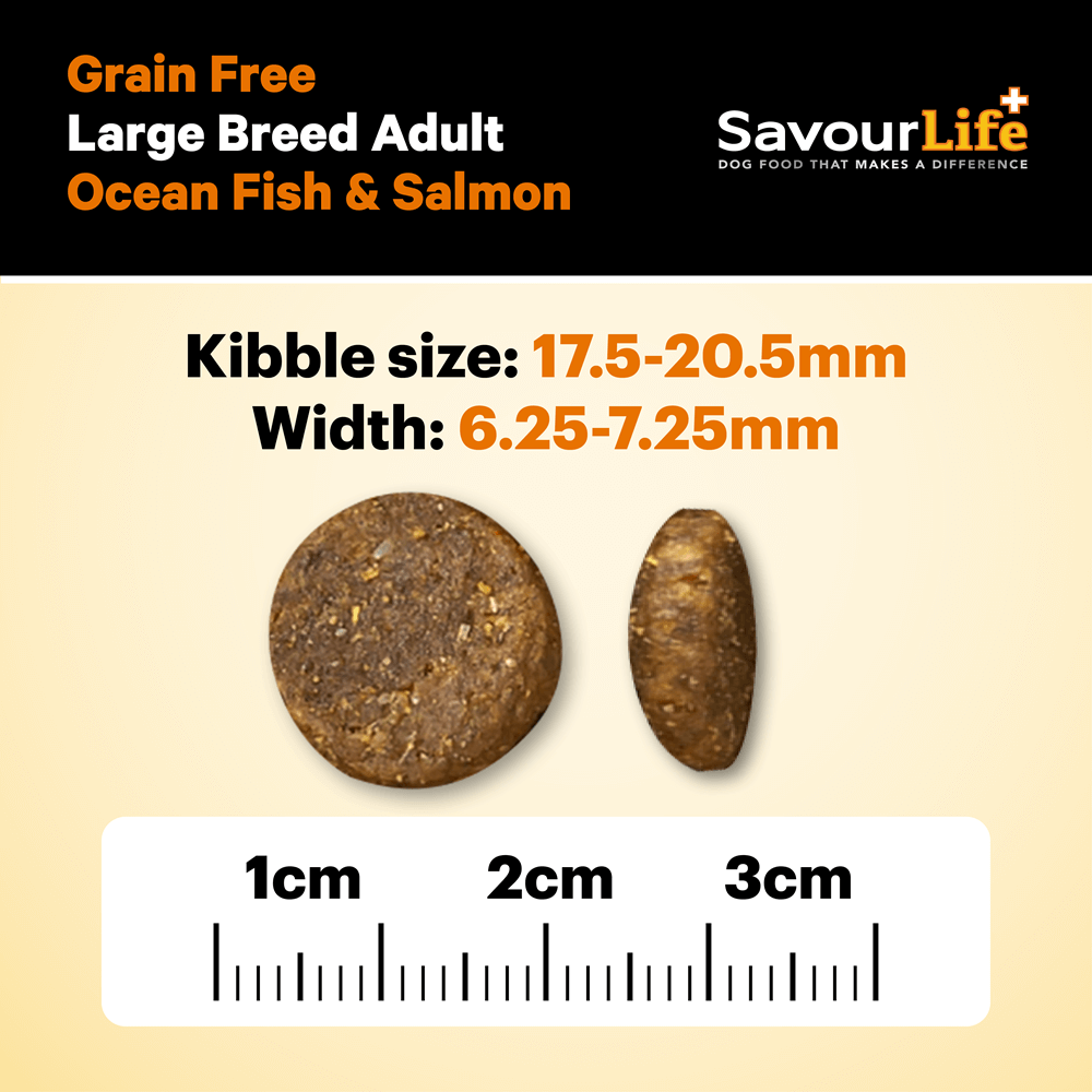 Ocean Fish Large Breed Grain Free Adult Dry Dog Food