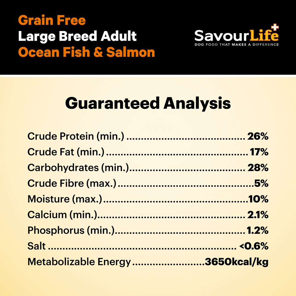 Ocean Fish Large Breed Grain Free Adult Dry Dog Food