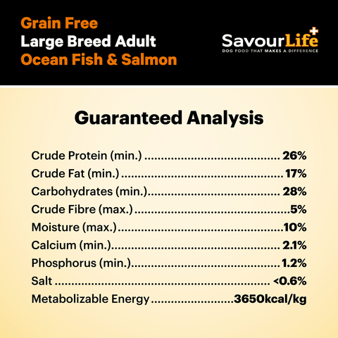 Ocean Fish Large Breed Grain Free Adult Dry Dog Food