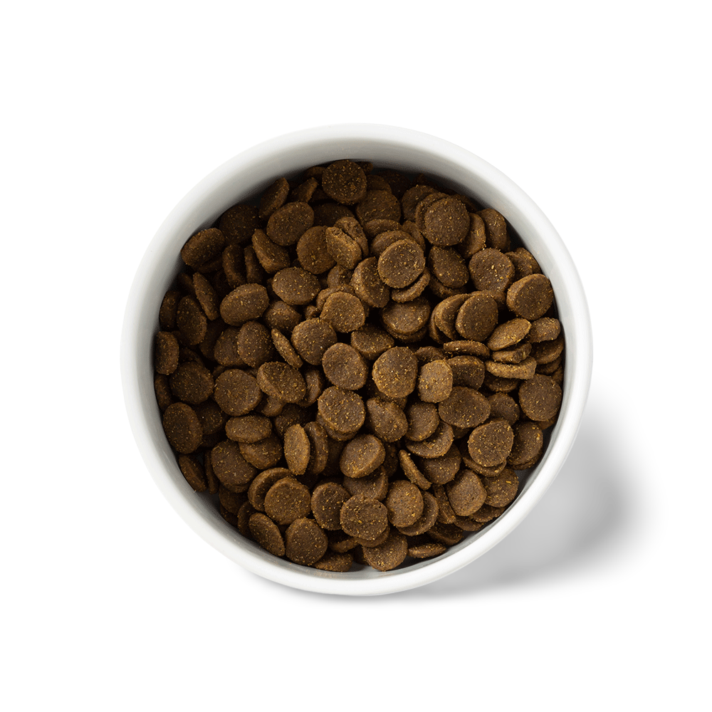 Australian Chicken Large Breed Grain Free Puppy Dry Dog Food