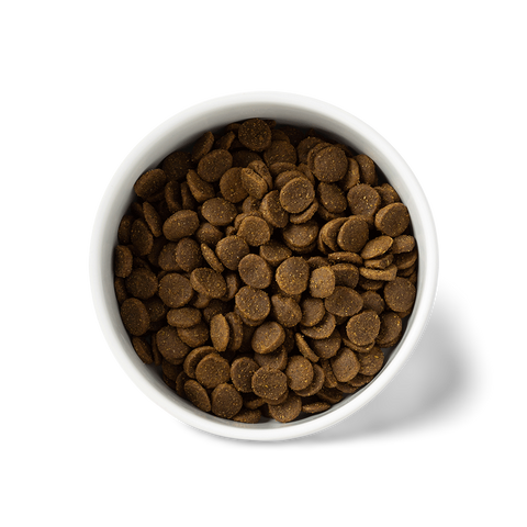 Australian Chicken Large Breed Grain Free Puppy Dry Dog Food