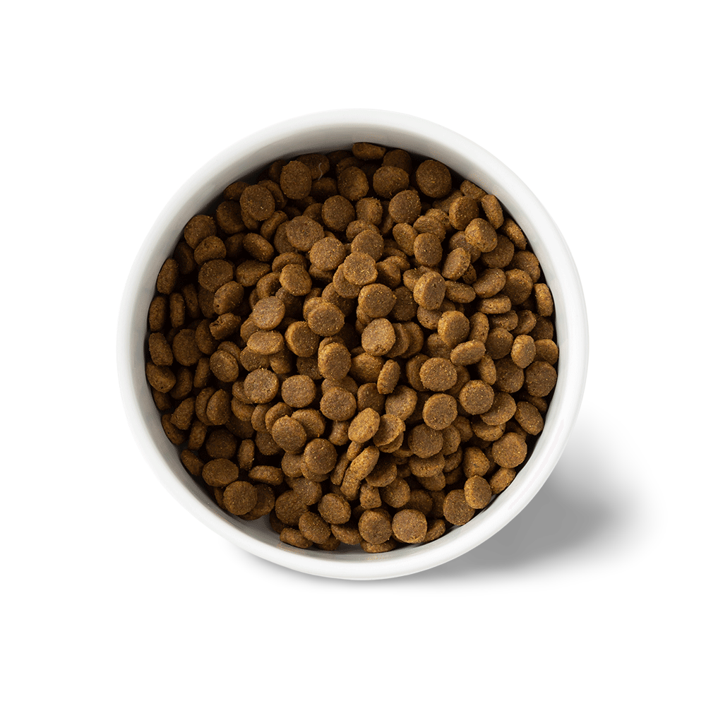 Chicken Grain Free Puppy Dry Dog Food