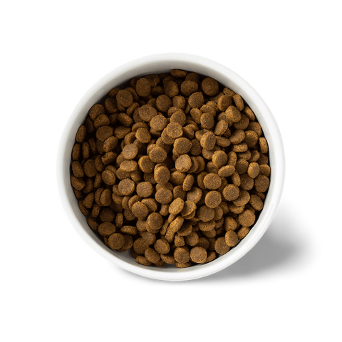 Chicken Grain Free Puppy Dry Dog Food