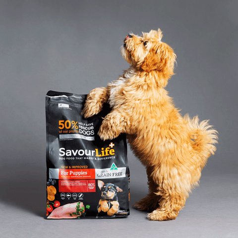 Chicken Grain Free Puppy Dry Dog Food