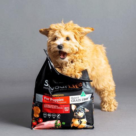 Chicken Grain Free Puppy Dry Dog Food